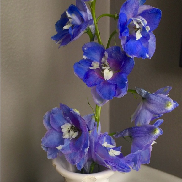 Meet your Posher, Halina - Picture 9 of 16